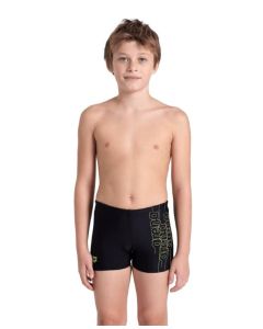 Arena Swim Short Graphic Boy