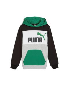 Puma Essentials Block Hoodie TR Jr