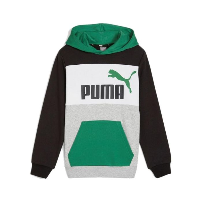 Puma - Puma Essentials Block Hoodie TR Jr